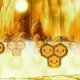 Wild's Combee Wild's Combee