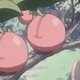 Wild's Cherubi Wild's Cherubi