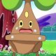Wild's Bonsly Wild's Bonsly