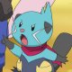 Halsey's Dewott