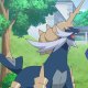 Anne's Samurott