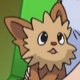 Special/Other Trainers's Lillipup Special/Other Trainers's Lillipup