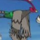 Wild's Unfezant Wild's Unfezant