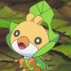 Ash's Sewaddle