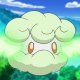 Wild's Cottonee Wild's Cottonee