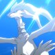 Wild's Reshiram