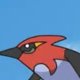 Wild's Fletchinder Wild's Fletchinder
