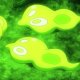 Wild's Zygarde
