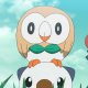 Rei's Rowlet