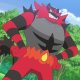 Litten Girl's Incineroar