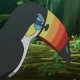 Wild's Toucannon