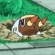 Wild's Grubbin Wild's Grubbin