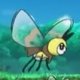 Wild's Ribombee Wild's Ribombee