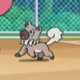 Special/Other Trainers's Rockruff Special/Other Trainers's Rockruff