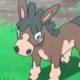 Wild's Mudbray