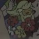 Special/Other Trainers's Comfey Special/Other Trainers's Comfey