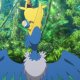Wild's Cramorant Wild's Cramorant