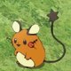 Wild's Dedenne