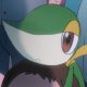 Other Trainers's Snivy