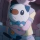 Other Trainers's Oshawott