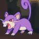 Wild's Rattata