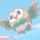 Hatsune Miku's Rowlet