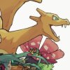 Wild's Charizard