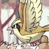 Wild's Pidgey