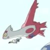 Wild's Latias