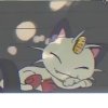 Wild's Meowth