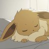 Other Trainers's Eevee