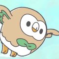 Wild's Rowlet