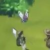 Other Trainers's Butterfree