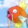 Wild's Magikarp