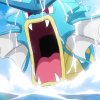 Wild's Gyarados