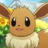 Wild's Eevee
