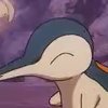 Wild's Cyndaquil