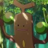 Wild's Sudowoodo