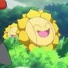 Wild's Sunflora