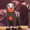 Wild's Houndour