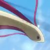 Wild's Milotic