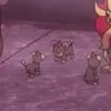 Wild's Litleo