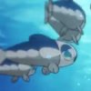 Wild's Wishiwashi