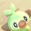 Other Trainers's Grookey