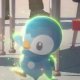 Other Trainers's Piplup