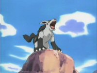 [PokeCommunity.com] ~~~/~Poochyena and Mightyena club!~~~/~