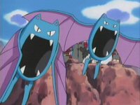 [PokeCommunity.com] flying poke club