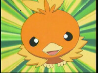 Torchic Clubbie