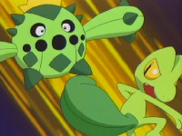 ~^~Rayquaza and Sceptile Fan Club~^~