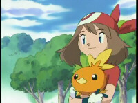 [PokeCommunity.com] Torchic Clubbie